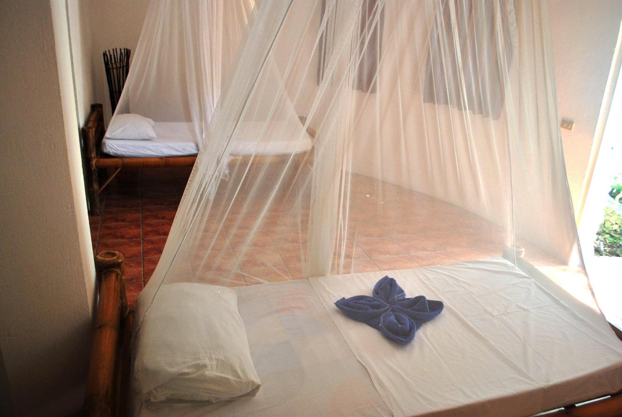 The Blue Orchid Resort Moalboal Room photo