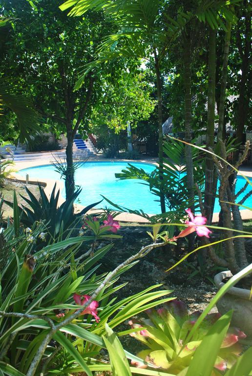 The Blue Orchid Resort Moalboal Exterior photo