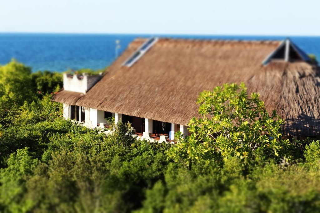 The Blue Orchid Resort Moalboal Exterior photo