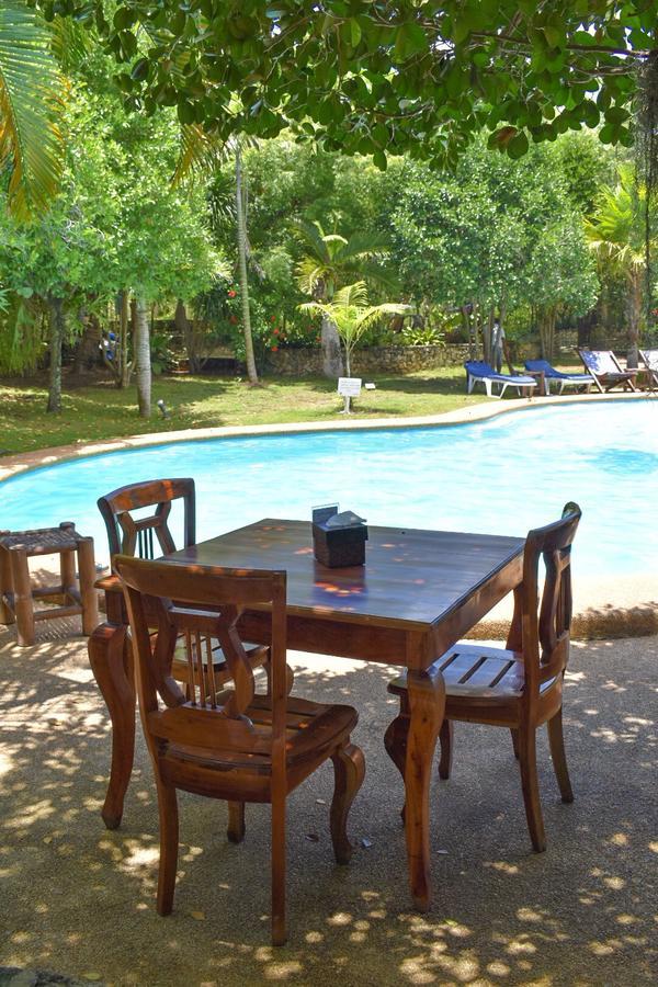 The Blue Orchid Resort Moalboal Exterior photo